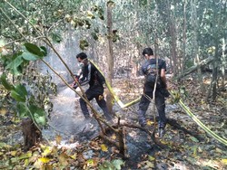 Pulau Deli di Pandeglang Terbakar Selama Satu Pekan