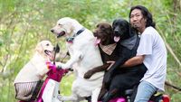 Foto: Lucu Banget Pose Anjing Bonceng Tuannya