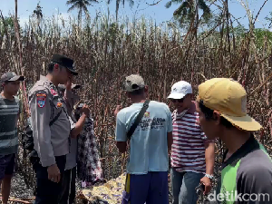 Fakta-fakta Pilu Pasutri Terbakar di Lahan Tebu, Istri Tewas Terpanggang Fakta-fakta Pilu Pasutri Terbakar di Lahan Tebu, Istri Tewas Terpanggang