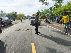 Kecelakaan Honda Brio-Motor Scoopy di Luwu, 2 Orang Tewas Terlindas