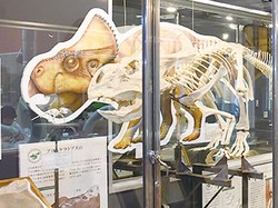 Unik, Universitas di Jepang Bakal Buka Prodi Dinosaurus