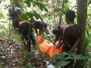 Diduga Jatuh dari Pohon Saat Memetik Cengkeh, Lansia di Sikka Tewas