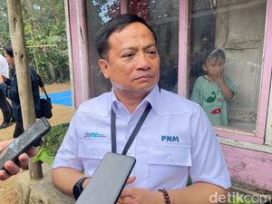 PNM Sudah Salurkan Modal Usaha Mekaar Rp 45,3 T Hingga Akhir Agustus