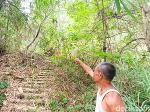 Mayat Tergantung di Pohon Gembok Cinta Godean Terungkap Asal Temanggung Mayat Tergantung di Pohon Gembok Cinta Godean Terungkap Asal Temanggung