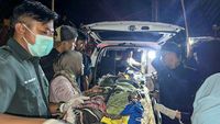 Evakuasi Korban Longsor Tambang Ilegal di Solok