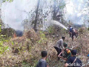 Hutan Kayu Jati Seluas 4 Hektare di Gunung Pucang Rangga Lumajang Terbakar