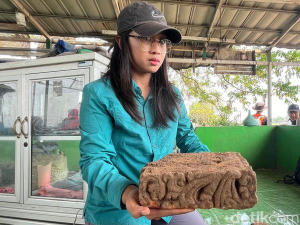 Temuan Batu Bata Berelif Sulur di Ekskavasi Istana Bhre Wengker