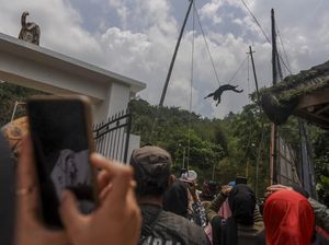 Atraksi Menantang Kesenian Akrobatik Lais di Banten