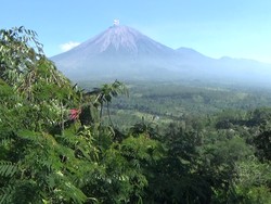 Mendaki Akhir Pekan? Simak Prediksi Cuaca Gunung di Jatim