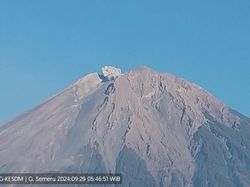Gunung Semeru Erupsi 15 Kali Dalam Sehari, Ketinggian Letusan 400-500 M