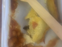 Hoek! Penumpang Keracunan Setelah Makan Dadar Berisi Kecoa