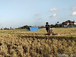 Tekan Alih Fungsi Lahan, Pembeli Tanah di Kapal Wajib Jadi Krama Adat