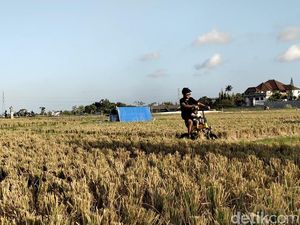Tekan Alih Fungsi Lahan, Pembeli Tanah di Kapal Wajib Jadi Krama Adat Tekan Alih Fungsi Lahan, Pembeli Tanah di Kapal Wajib Jadi Krama Adat