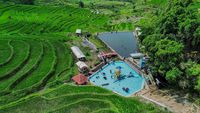 Asyiknya Berenang di Tengah Hijaunya Terasering