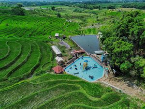 Asyiknya Berenang di Tengah Hijaunya Terasering