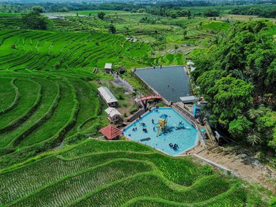 Asyiknya Berenang di Tengah Hijaunya Terasering