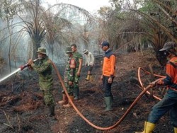 Lahan 6 Hektare di Muara Enim yang Kembali Terbakar Sudah Padam, Sisakan Asap