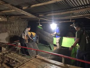 Sarang Sabung Ayam di Sidayu Gresik Digerebek Sarang Sabung Ayam di Sidayu Gresik Digerebek