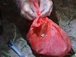 Gelap Mata Mahasiswi KKN IAIN Palopo Aborsi dan Buang Janin 6 Bulan di Lutim