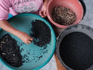Mengenal 5 Heritage Brands Indonesia yang Eksis hingga Kini Mengenal 5 Heritage Brands Indonesia yang Eksis hingga Kini