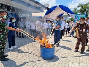 BNN Musnahkan Ganja Hasil Tangkapan Terbesar dalam Sejarah di NTT BNN Musnahkan Ganja Hasil Tangkapan Terbesar dalam Sejarah di NTT