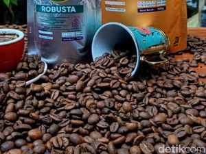 Belajar Kopi Sambil Cicip Ragam Single Origin Nikmat di Kafe Situbondo Belajar Kopi Sambil Cicip Ragam Single Origin Nikmat di Kafe Situbondo