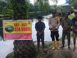 Tangan Pria di Rohil Patah Diterkam Buaya usai BAB