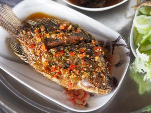 3 Resep Ikan Mujair yang Berbumbu Pedas Gurih Untuk Makan Siang 3 Resep Ikan Mujair yang Berbumbu Pedas Gurih Untuk Makan Siang