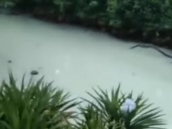 Operasional Perusahaan Diduga Cemari Sungai Fatufia Morowali Disetop