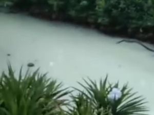 Operasional Perusahaan Diduga Cemari Sungai Fatufia Morowali Disetop Operasional Perusahaan Diduga Cemari Sungai Fatufia Morowali Disetop
