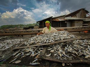 Fokus Berdayakan UMKM, BRI Jadi Salah Satu BUMN dengan Capain ESG Terbaik