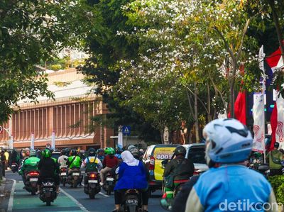 Menikmati Indahnya Bunga Tabebuya Bermekaran di Jakarta