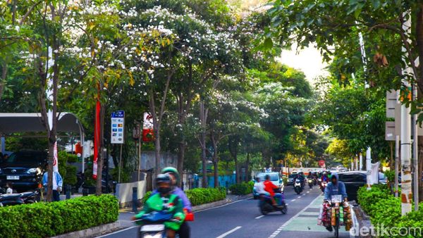 Vibes Jepang, Bunga Tabebuya Juga Bermekaran di Cikini