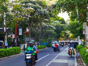 Vibes Jepang, Bunga Tabebuya Juga Bermekaran di Cikini