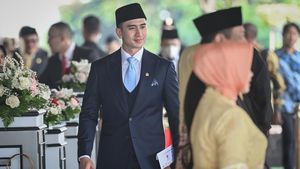 10 Gaya Artis yang Jadi Anggota DPR di 2024, Mulan Hingga Verrel Bramasta