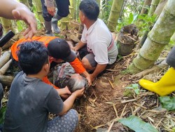 Perjuangan Epi Lansia 83 Tahun Selamat Usai 3 Hari Hilang di Hutan Torut