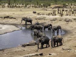 Zimbabwe Makin Mesra dengan Rusia, Segera Terapkan Bebas Visa