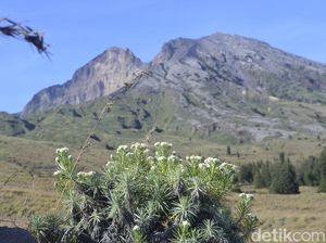 2 Pendaki Asal Jakarta Jatuh Saat Naik ke Puncak Rinjani, 1 Hilang