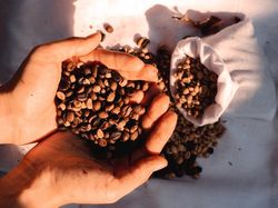 Hari Kopi Sedunia Diperingati Tanggal 1 Oktober, Ini Fakta Menariknya