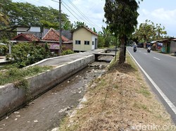 Selokan Van Der Wijck Ditutup Hari Ini, Petani Bersiap Hadapi Krisis Air