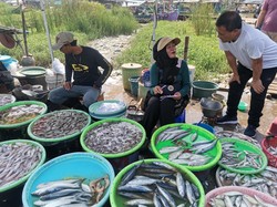 Jokowi Titip Nasib Nelayan-Pesantren, Ahmad Luthfi Siapkan Program Ini