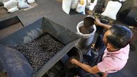 Melihat Produksi Kopi Tradisional di Aceh Besar