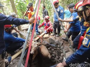 Byurr! Sapi Nyemplung Sumur 7 Meter di Tijayan Klaten Diselamatkan Damkar