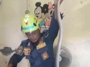 Hii... Kepala Ular Nongol di Kamar Warga Bogor, Damkar Evakuasi