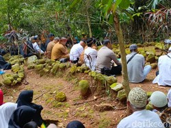 Ungkapan Rasa Syukur Warga Bunter Ciamis Lewat Tradisi Mupunjung