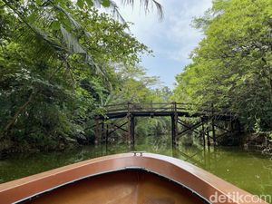 Seru Juga Ternyata Menaiki Sampan di Tengah Hutan Bakau Jakarta