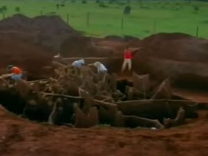 Sarang Semut Dihancurkan, Ternyata Sembunyikan Kota Besar di Bawah Tanah