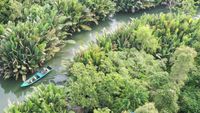 Menyusuri Ekowisata Sungai Hitam Lestari di Samboja