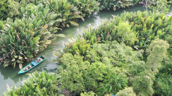 Menyusuri Ekowisata Sungai Hitam Lestari di Samboja