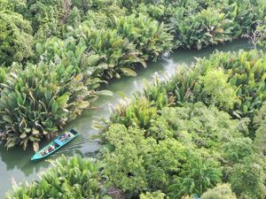 Menyusuri Ekowisata Sungai Hitam Lestari di Samboja